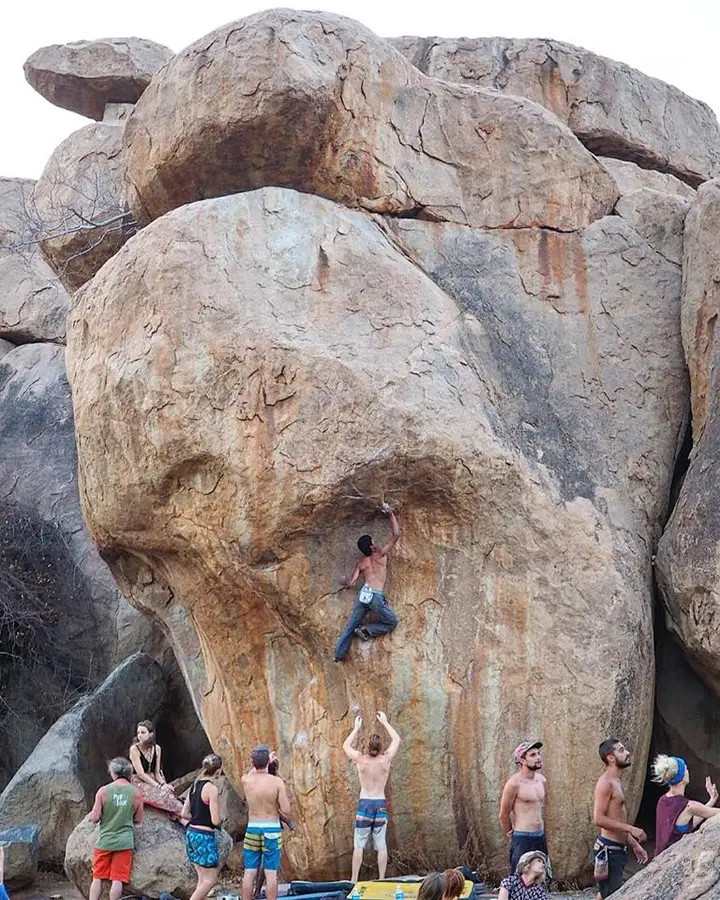 Viraj climbing Ecstasy Tree, a boulder so high that you might as well call it a free-solo, says the guidebook.